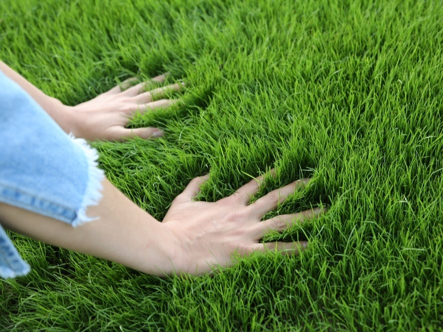 Artificial grass looks as good as natural